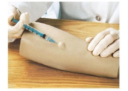 高级手臂皮内注射模型