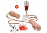 手部、肘部组合式静脉输液（血）训练模型
